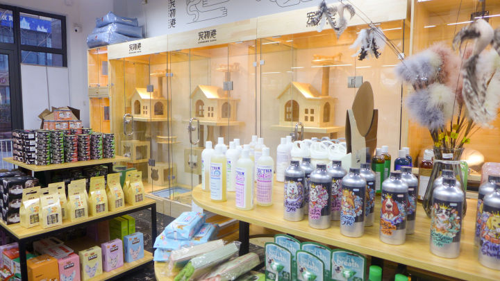 轻奢风格宠物店图片,温馨明亮的宠物店风格