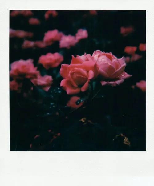 小学生虐待小动物该怎么办,有专门针对虐待动物的法律吗