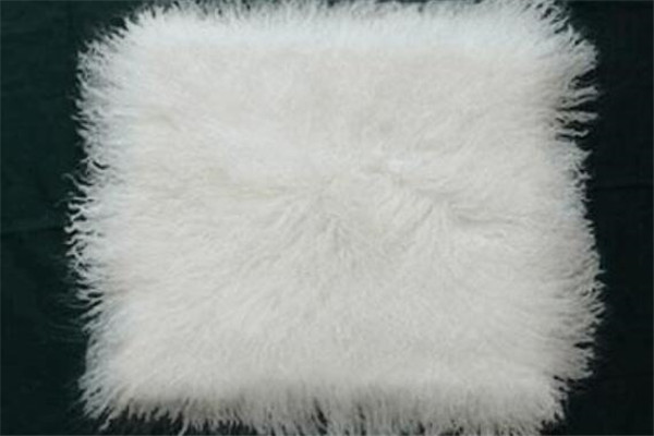 宁夏十大特产带货,宁夏特产五宝之首是什么