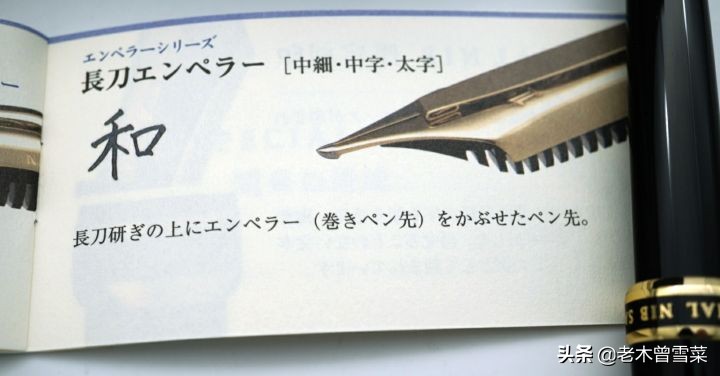 宝剑锋从磨砺出小篆书法,写乐经典钢笔