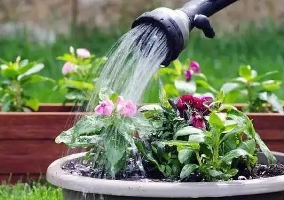 如何改善浇花水的软硬,浇花的水质比较碱性怎么改善