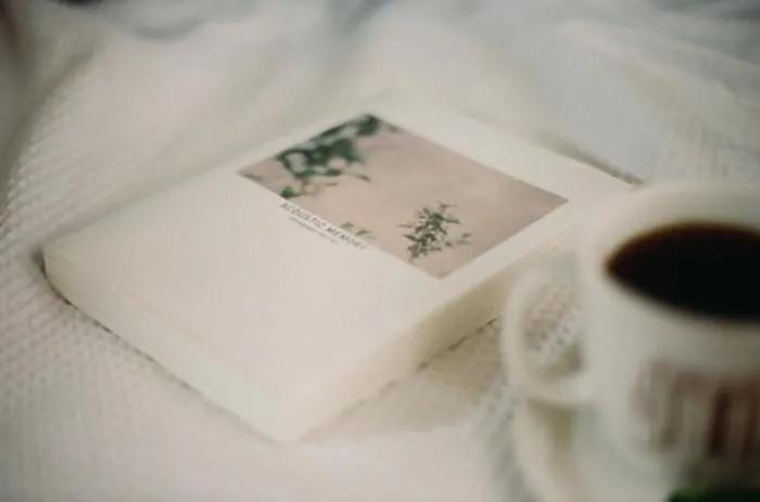 口碑好的卓远能量砖,卓远陶瓷能量砖价格