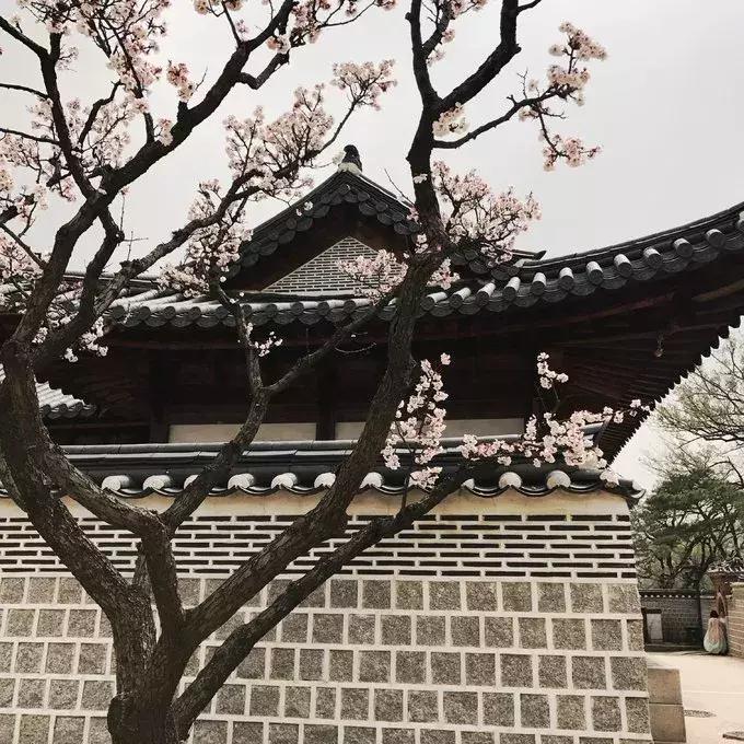 游记｜韩国好像没什么，但女孩子玩起来就是好爽