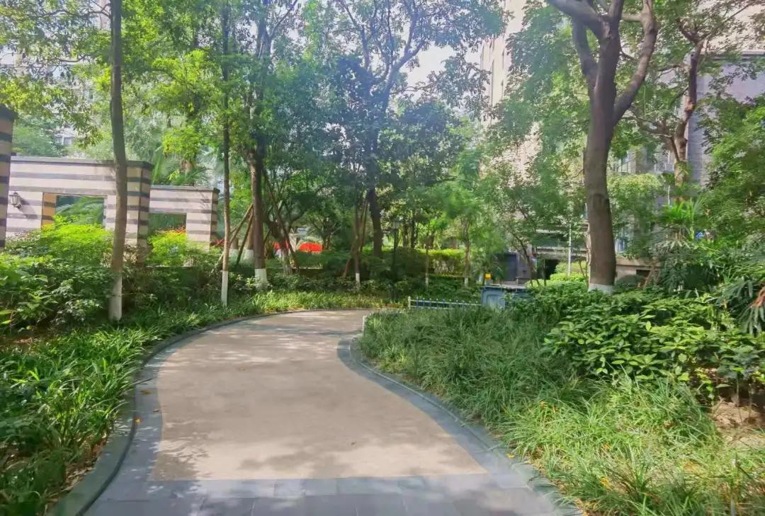 青羊教育资源最新消息,青羊区的教育资源