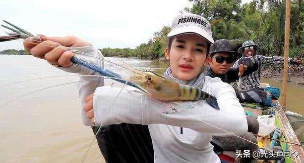 巨型虾入侵,罕见巨虾入侵