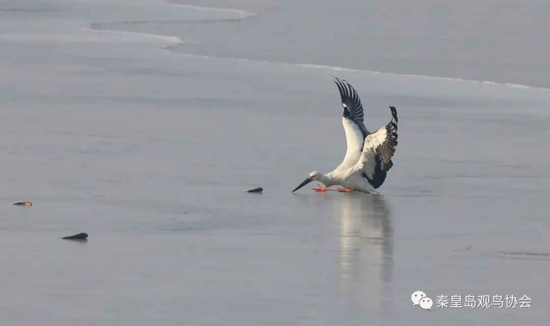 爱心让世界温暖的句子,爱心让生活更温暖
