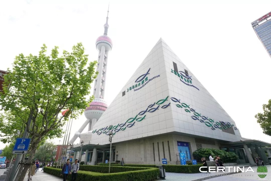 沛纳海潜水表哪个系列好,沛纳海潜水表评价