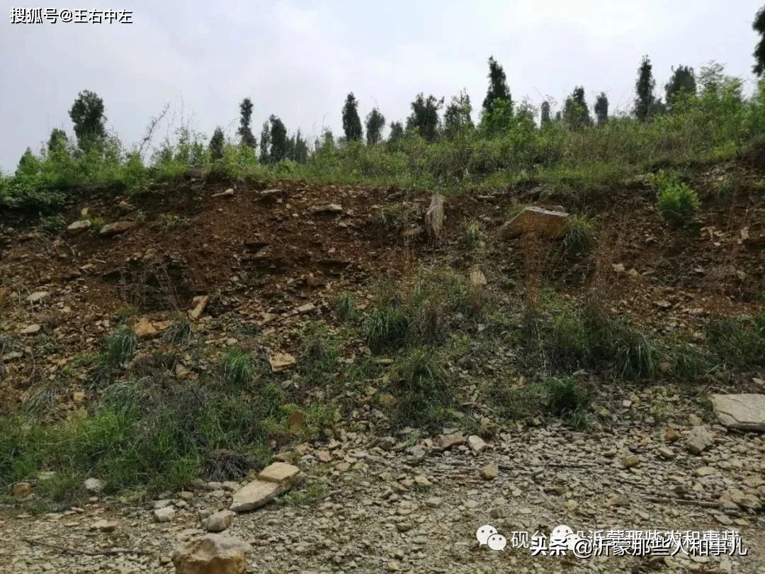 临沂砚味儿，琅琊文气，就在这里了