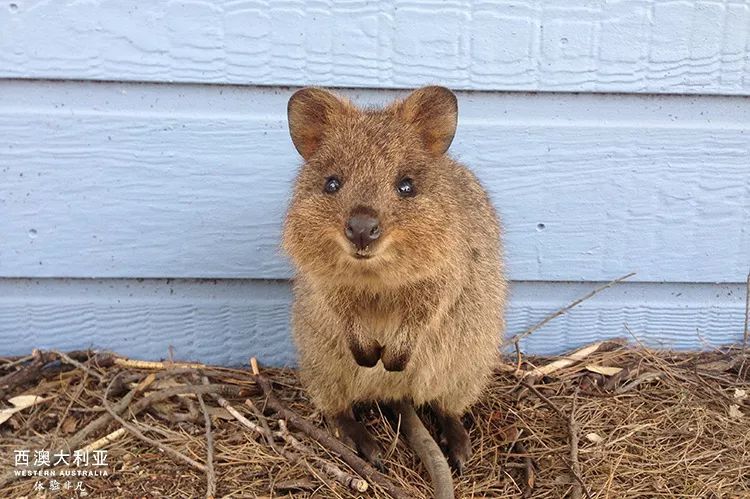 汇率起起伏伏，自然旅行跟着这张表格走，最划算