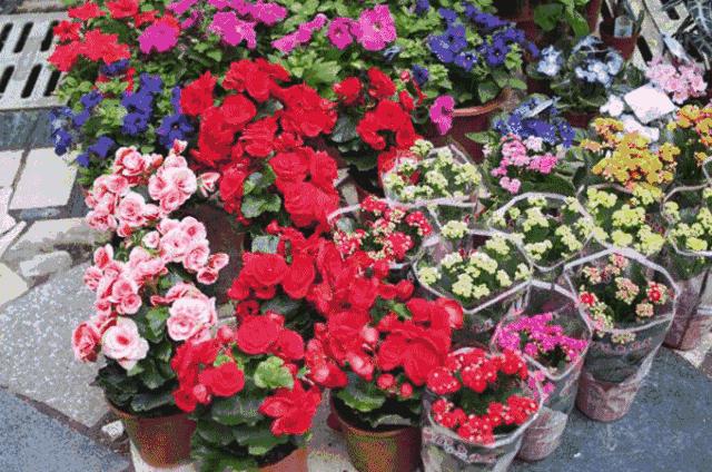 深圳批发年货零食市场,今年深圳的年货市场在哪里