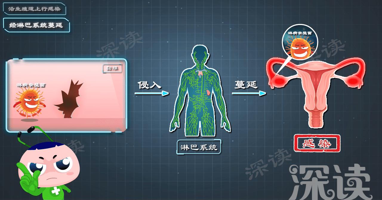 卵巢坠痛白带增多是什么症状,腹痛白带多吃什么食物来调理