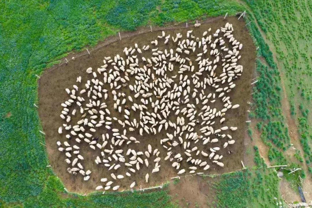 西北望射天狼深度解析,西北望射天狼霸气吗