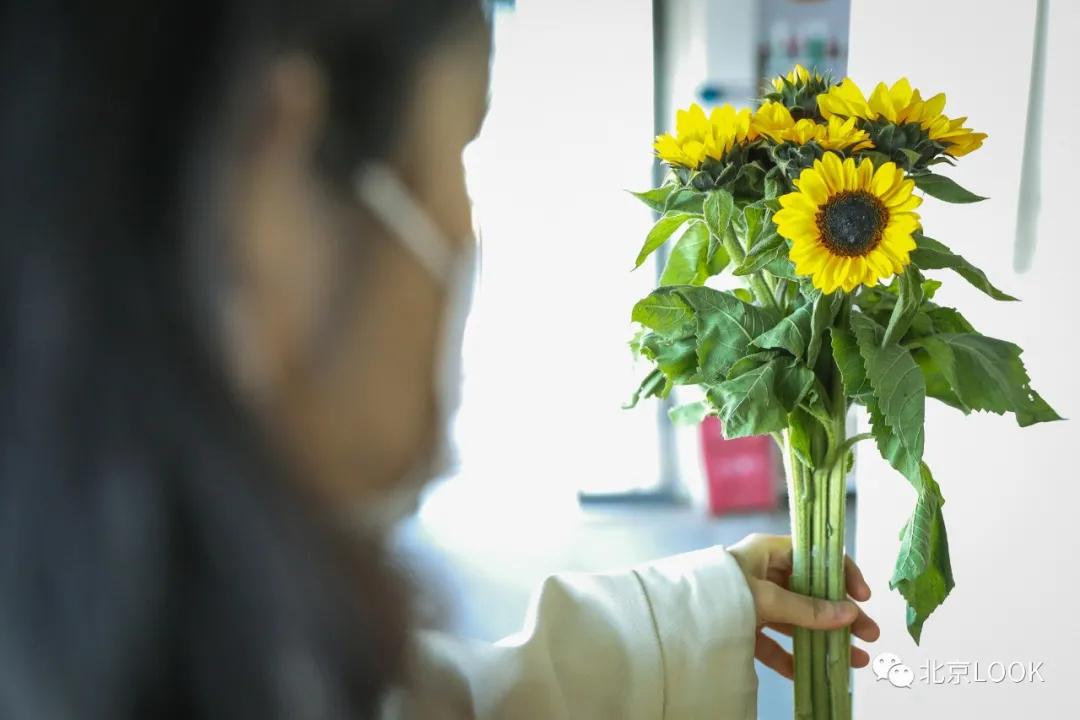 最便宜的北京花市,北京超好逛的花市