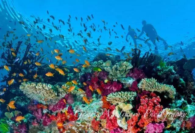 全球惊艳的10个海底世界，看到第一个就想出发！