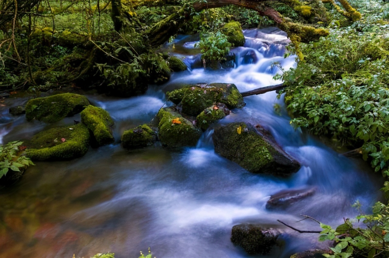 云南民企制造业20强：玉溪市4家，昆药集团第5