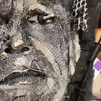 閫忚澶栨寕鐪熷疄浜嬩欢,閫忚澶栨寕鐪熺殑鍋囩殑