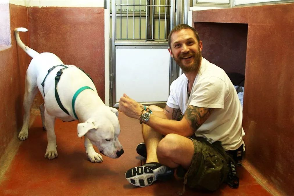 汤姆哈迪是一个极其自律的男人吗,汤姆哈迪一生回顾