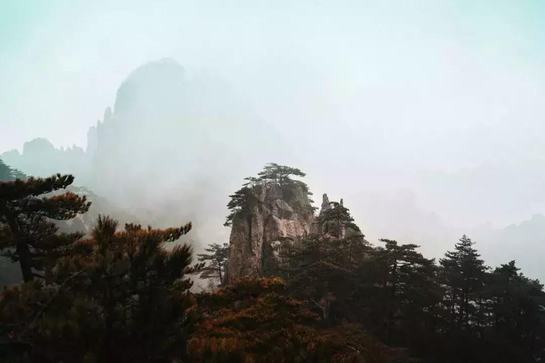 一个爱茶之人不能不去的地方,爱茶之人必去的九大茶区