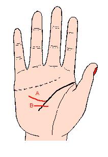 手相解密,手相掌纹分析学