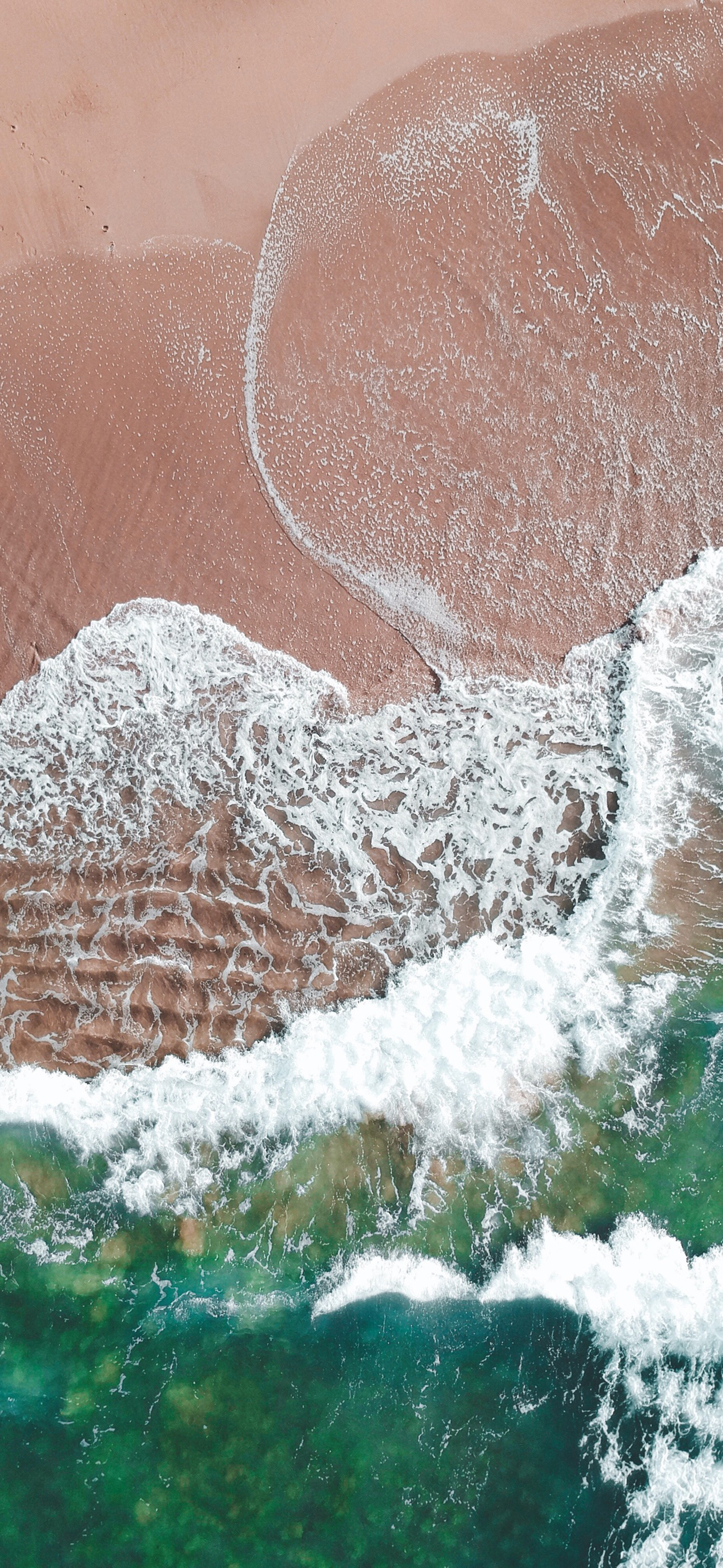 蓝天大海沙滩椰树图片高清壁纸,太阳蓝天大海海鸥的壁纸