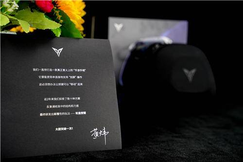 飞智八爪鱼2怎么开启体感,飞智八爪鱼2游戏手柄一键连招