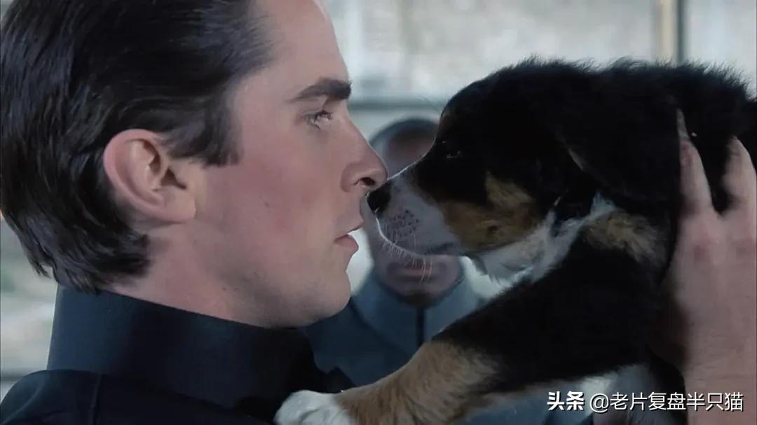 十部必看的经典电影战狼,战狼十大经典电影