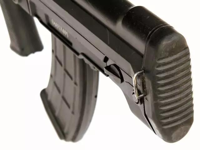 95式自动步枪100米打靶技巧,95式和191自动步枪有啥区别