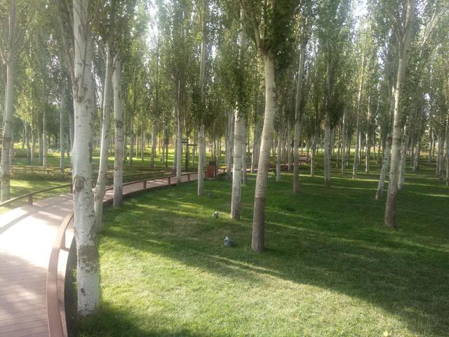 个体工商户怎么办理失业保险,个体工商户怎样才能交保险