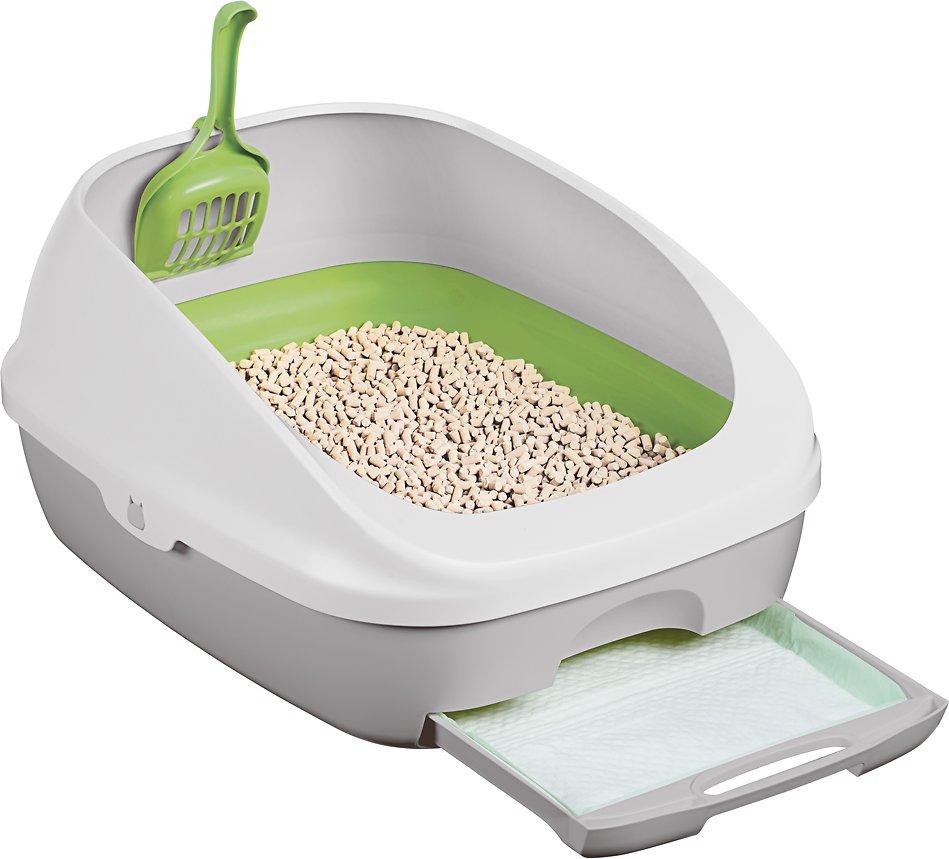 很乖的猫突然调皮了,很乖的猫开始乱尿