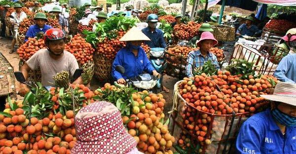 越南主动放弃石油平台，又取消西方贸易订单，外媒：讨好中国？