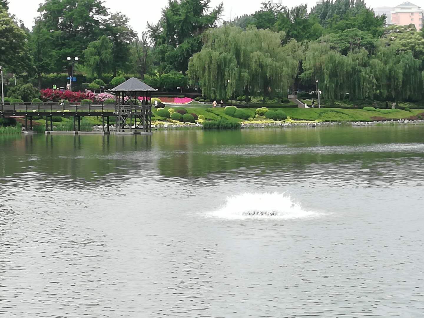 论道经典句子,论道馆