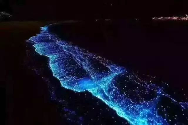 惠州双月湾君廷酒店攻略,惠州双月湾君廷度假酒店自助餐