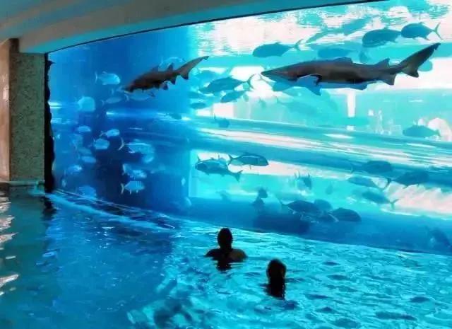 顶级商业思维顶级欲望,顶级富豪的兴趣是什么