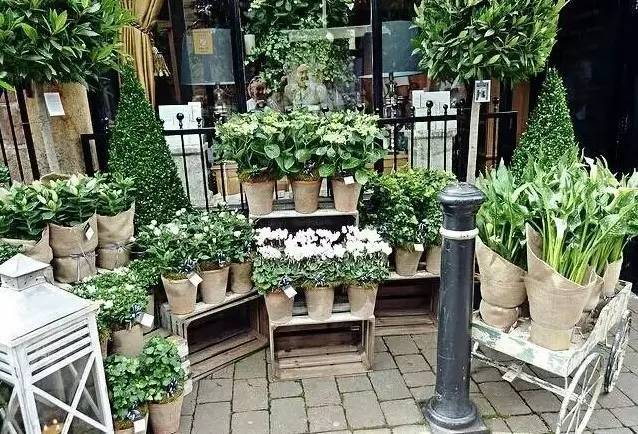 以后一定要开个花店,现在开个花店好吗