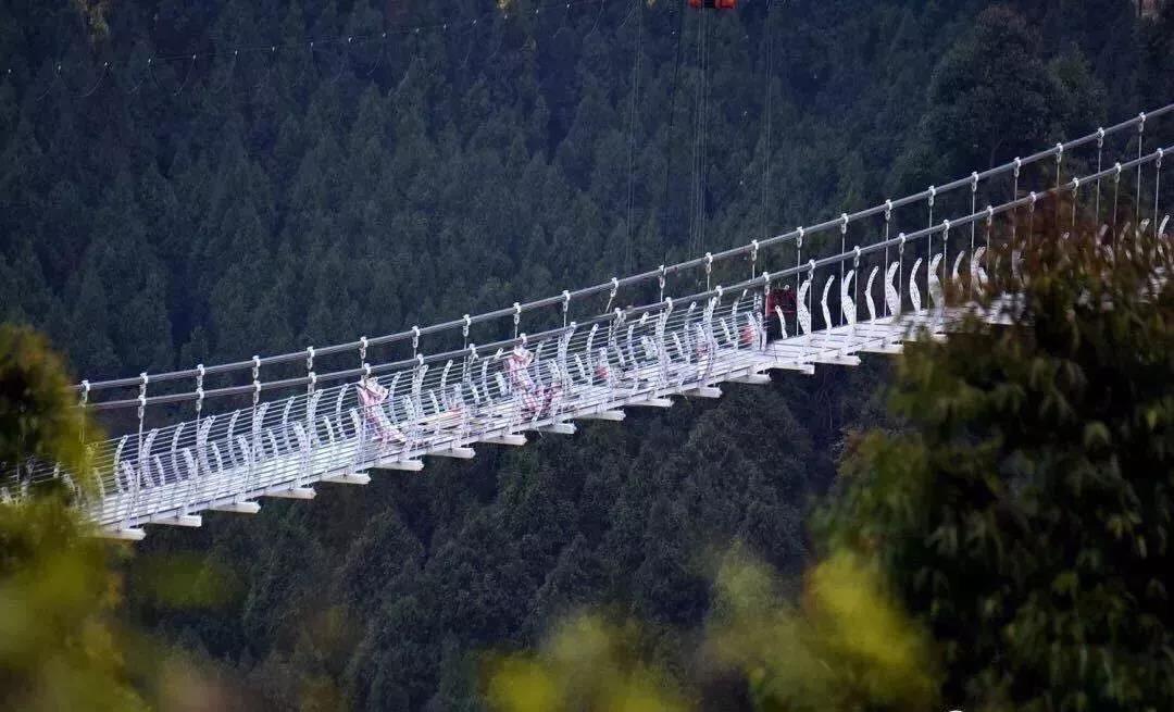 骑游绿道攻略,成都田园生态徒步游