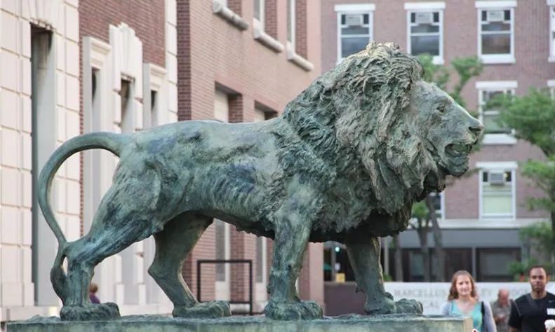 了解美国纽约,美国纽约城市全景