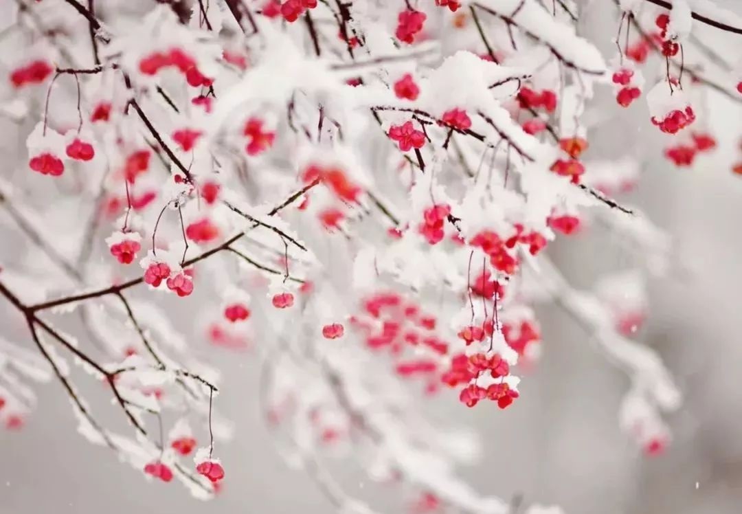 二十四节气小寒大寒又一年,小寒时的特殊节气