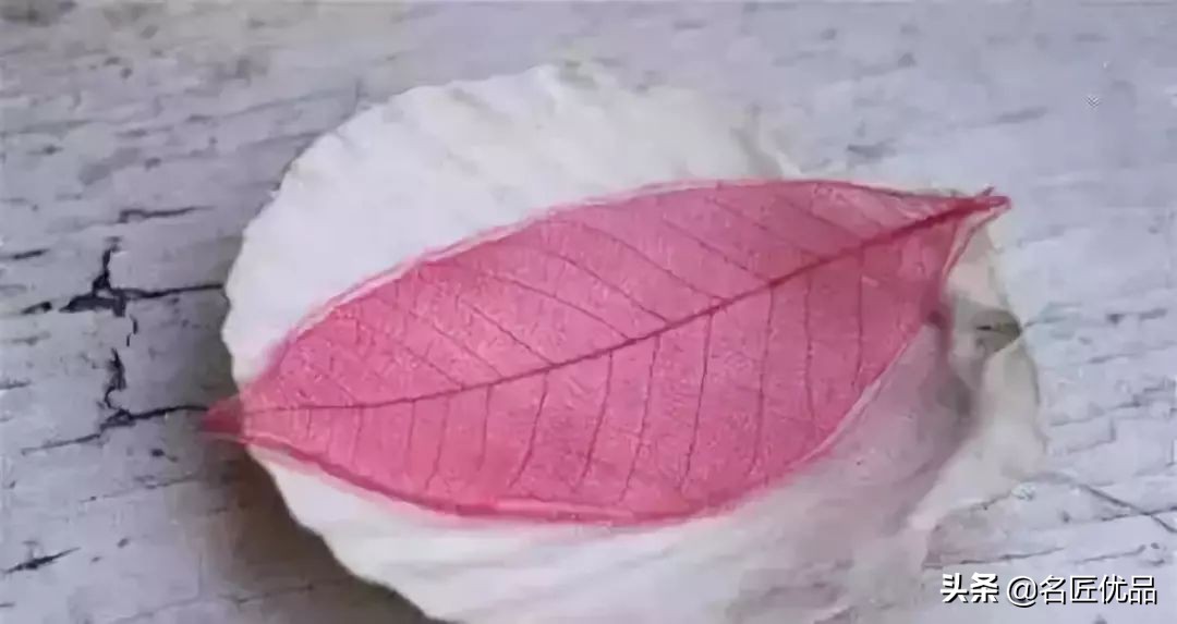 可爱又简单帅气的树叶手工,树叶创意手工高难度