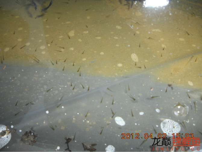 开渔场赚钱吗,开渔场需要多少资金