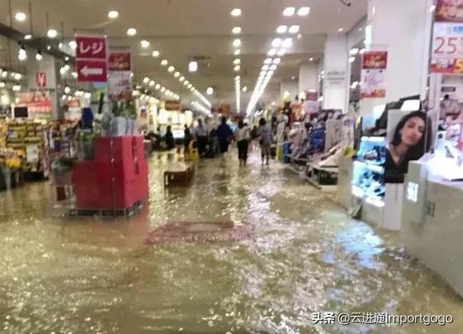 河南人挺住,河南人挺住图片