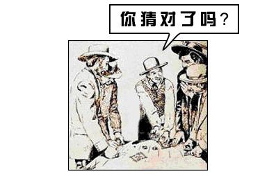 辟谣!猜杯子游戏,猫为什么总能选中有小球的那个?靠隐藏技能?