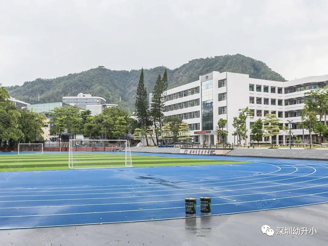 深圳好的双语小学,深圳2023优质小学校排名