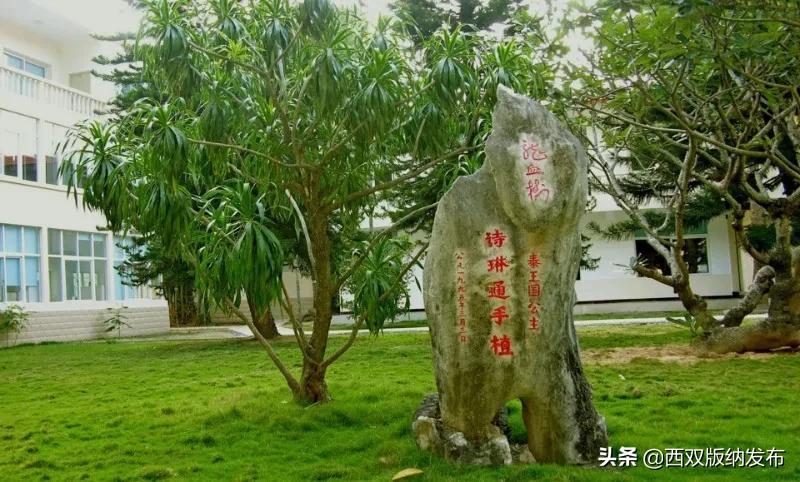 景洪市景区排名,景洪十大景点排名榜