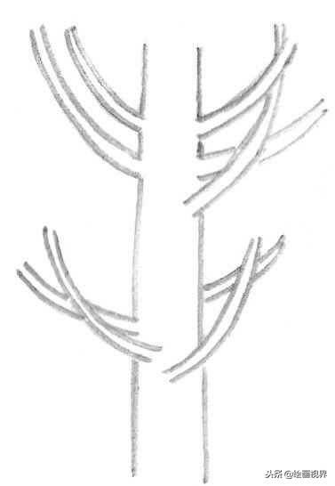 钢笔画入门教程花鸟,钢笔画入门基础教程人物