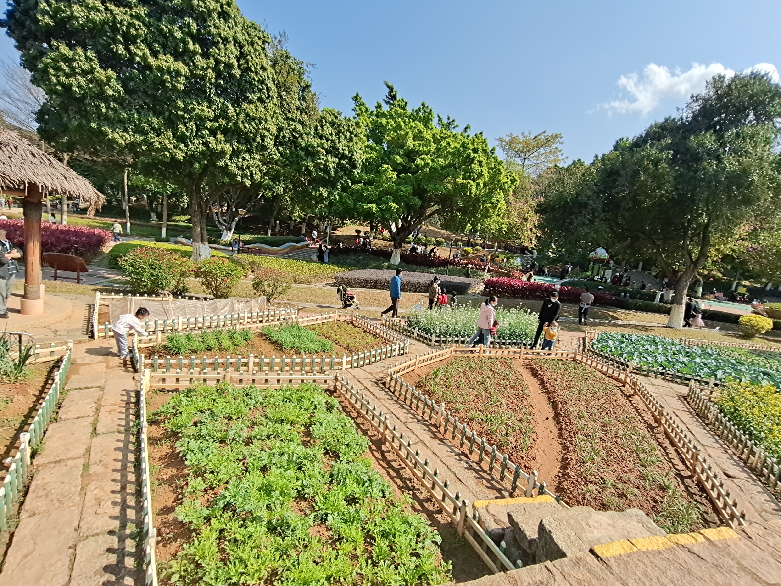 广州儿童公园成亲子乐园,2019广州儿童公园