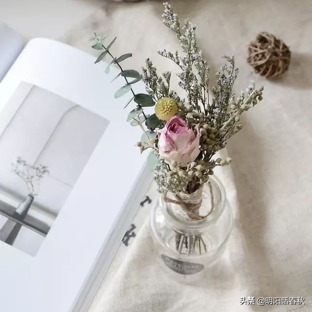 如何制作干花使其可以永久保存,如何制作干花书签