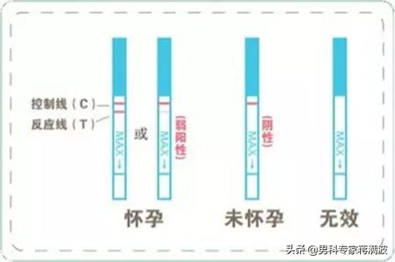 如何看懂hcg报告孕几周,hcg最准确的检测方法