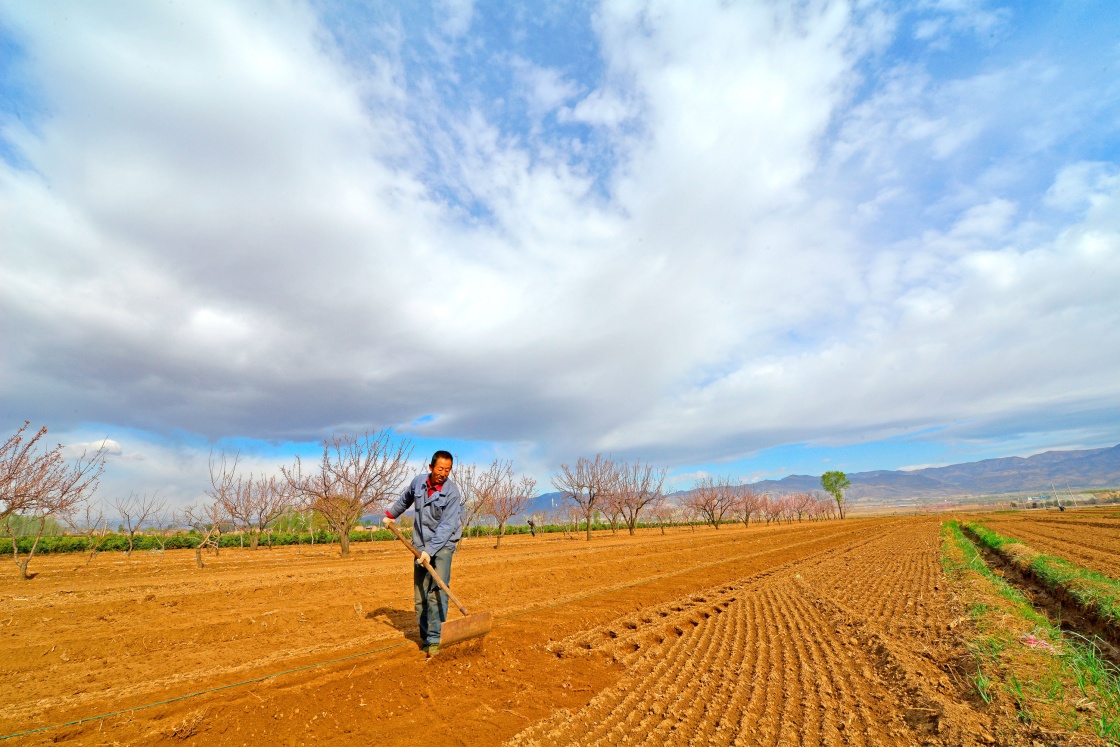 春分是个好日子：清朝皇帝在这天当一天农民下田耕种