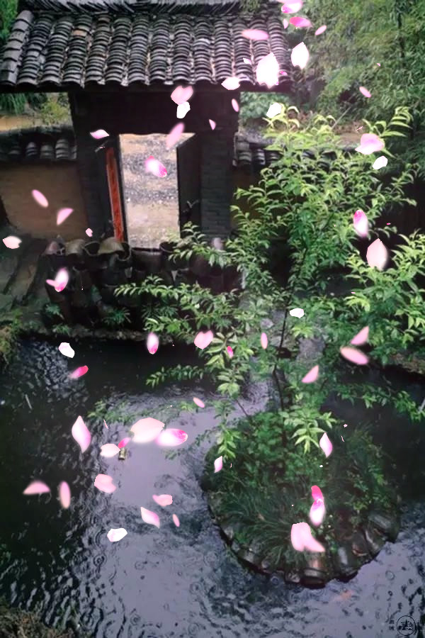 谈诗的鉴赏与写作讲座心得,谈古诗词鉴赏