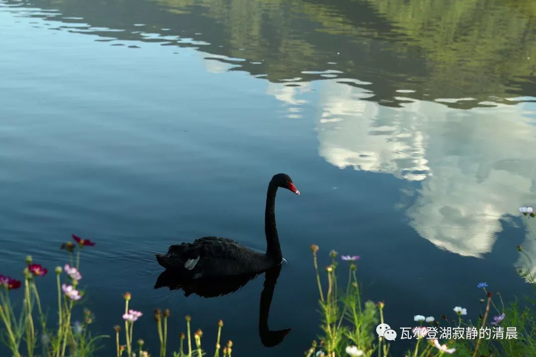神农架大九湖这实在是太美了,神农架大九湖天空之镜